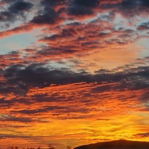 Meet your Posher, Cadence